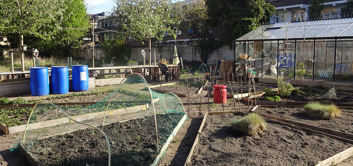 Moestuin Harvest brengt bewoners samen, ook in Corona-tijd