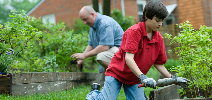 Netwerk Haagse Helpers