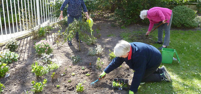 Activiteiten woongroep Nolenshoek